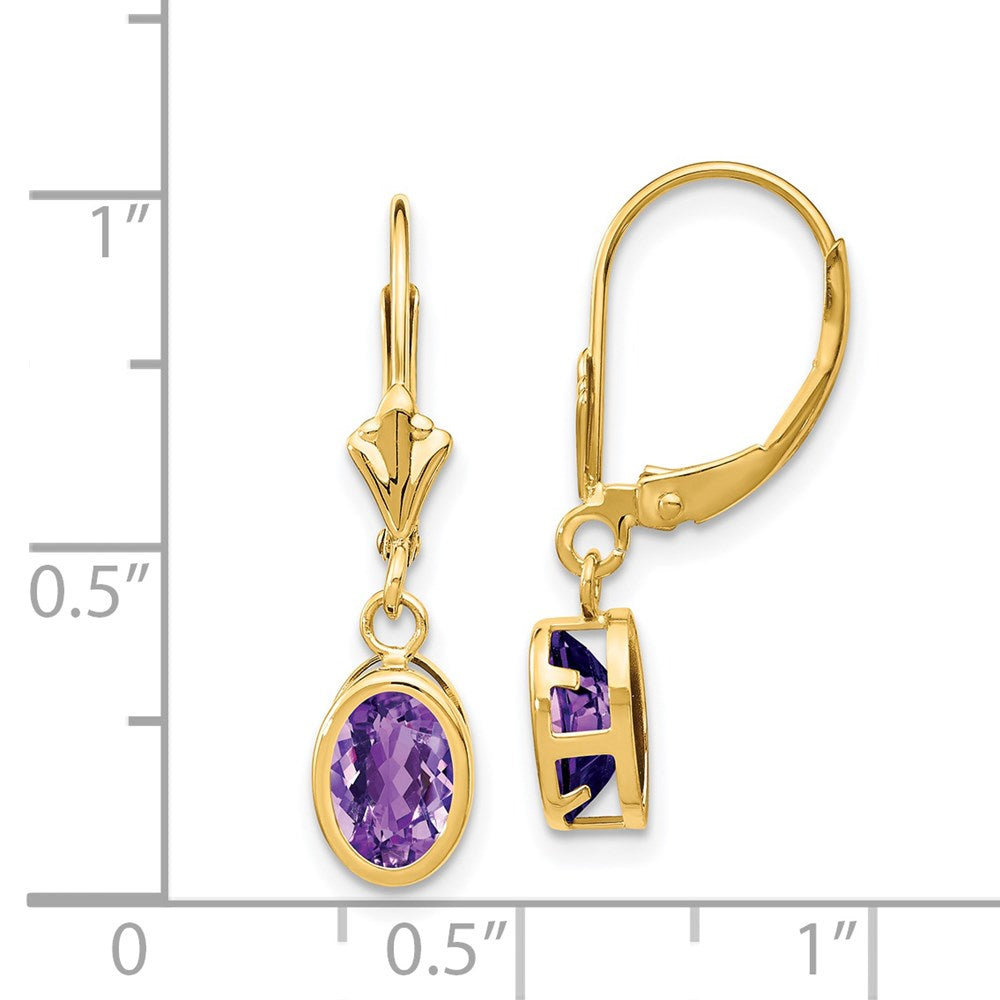 14k Yellow Gold 7x5mm Oval Amethyst Leverback Earrings XLB106AM