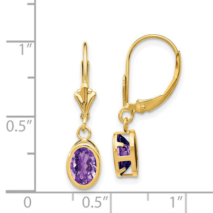 14k Yellow Gold 7x5mm Oval Amethyst Leverback Earrings XLB106AM