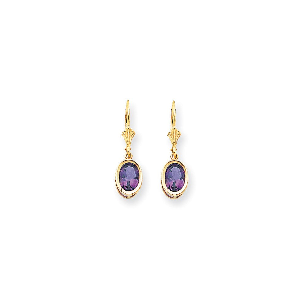 14k Yellow Gold 8x6mm Oval Amethyst Checker leverback Earrings XLB107AC