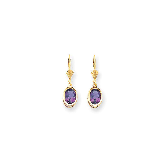 14k Yellow Gold 8x6mm Oval Amethyst Checker leverback Earrings XLB107AC