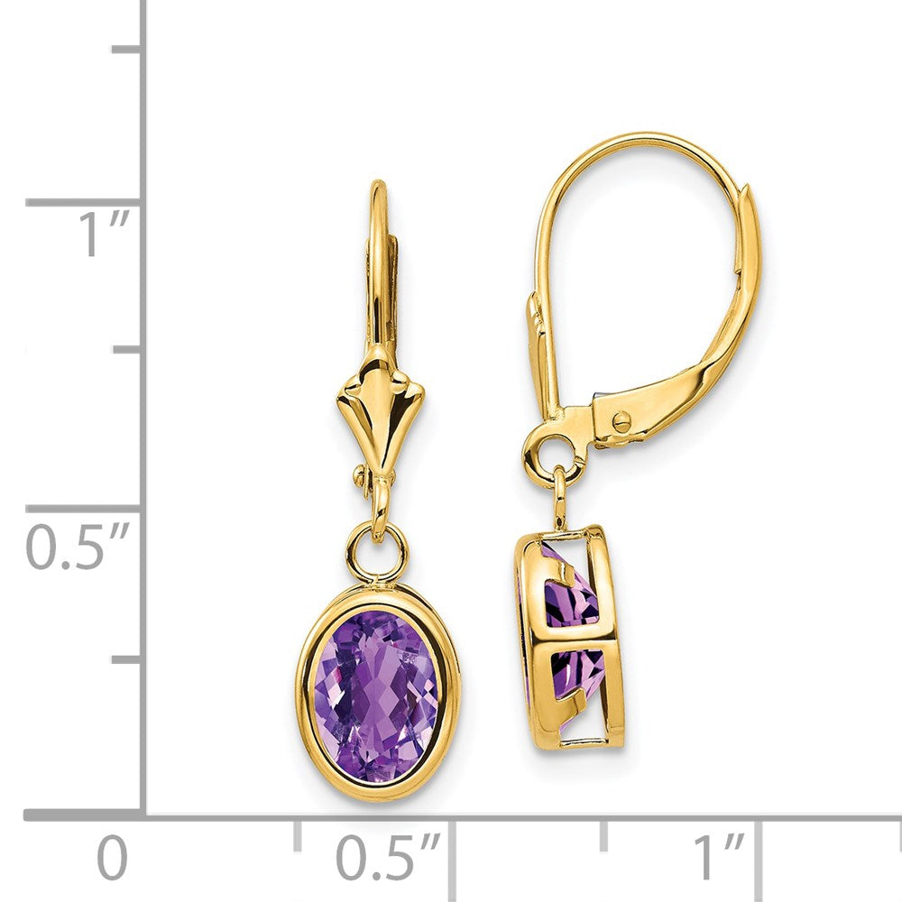 14k Yellow Gold 8x6mm Oval Amethyst Leverback Earrings XLB107AM