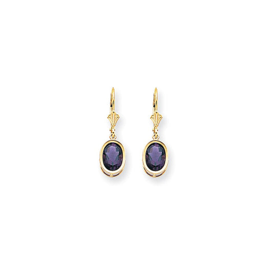 14k Yellow Gold 9x7mm Oval Amethyst Leverback Earrings XLB108AM