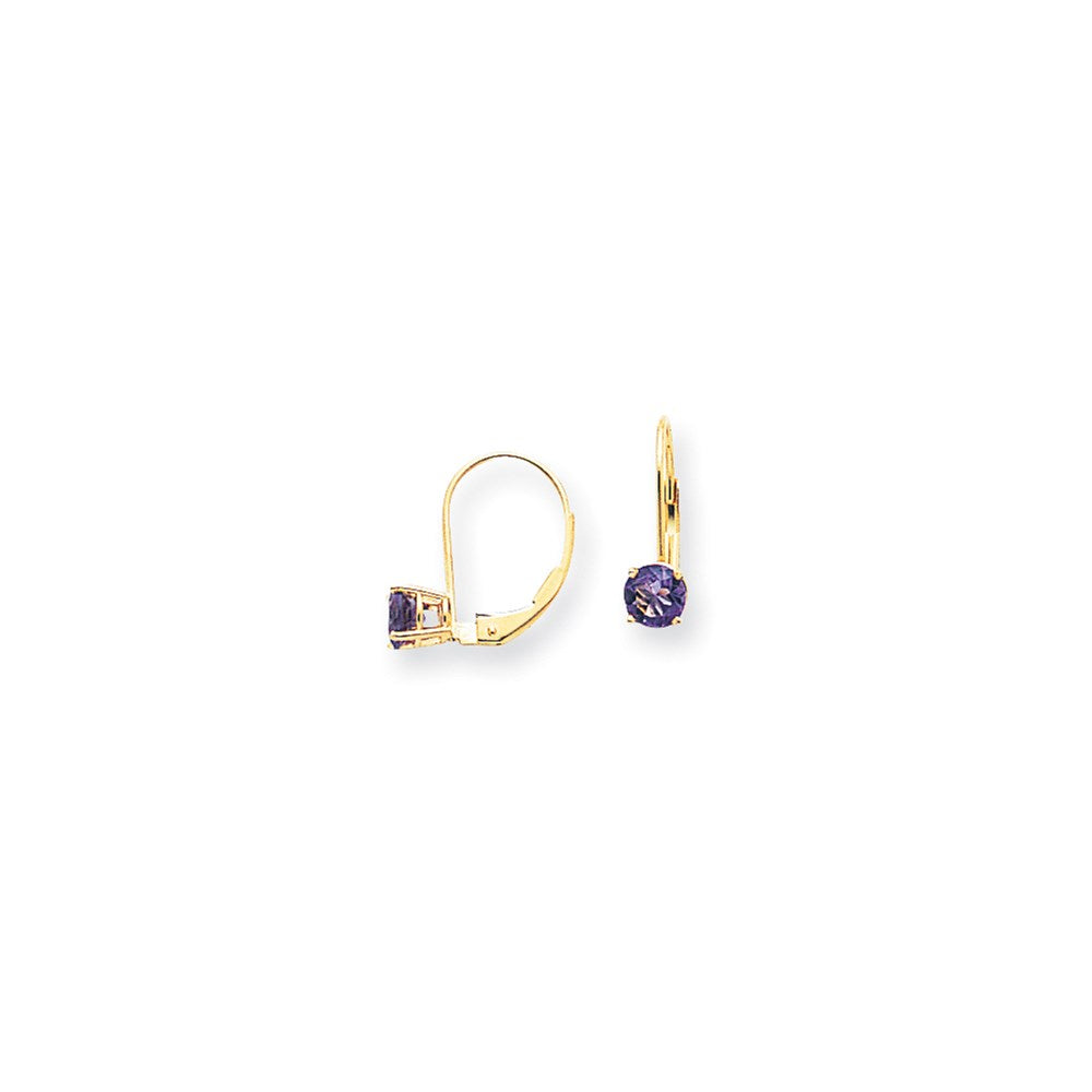 14k Yellow Gold 5mm Amethyst Checker leverback Earrings XLB111AC