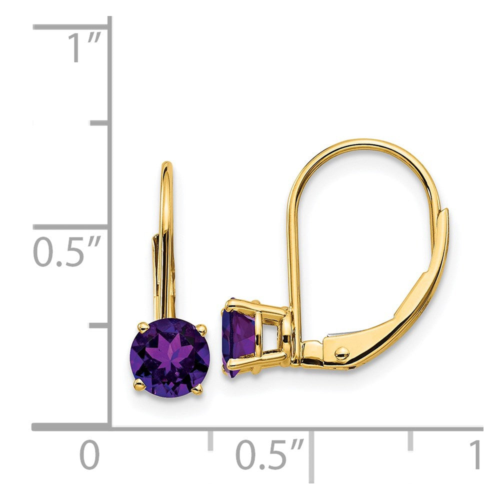 14k Yellow Gold 5mm Amethyst Leverback Earrings XLB111AM