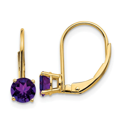 14k Yellow Gold 5mm Amethyst Leverback Earrings XLB111AM
