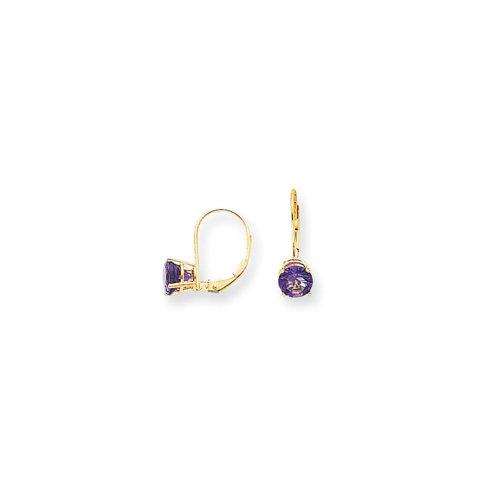 14k Yellow Gold 6mm Amethyst Checker leverback Earrings XLB112AC