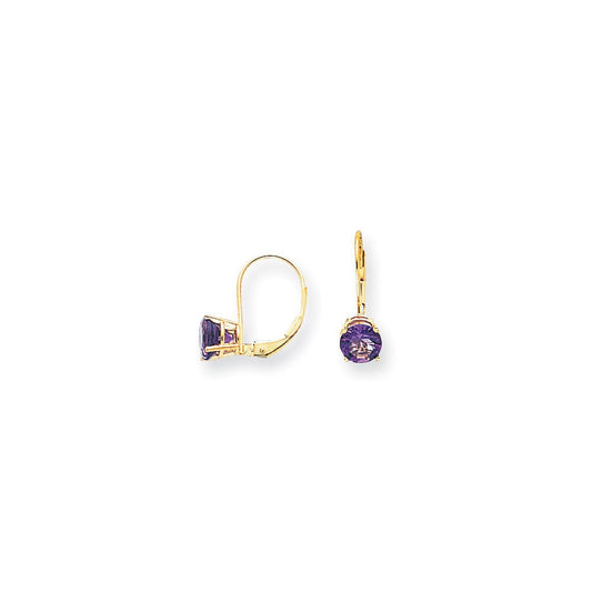 14k Yellow Gold 6mm Amethyst Checker leverback Earrings XLB112AC