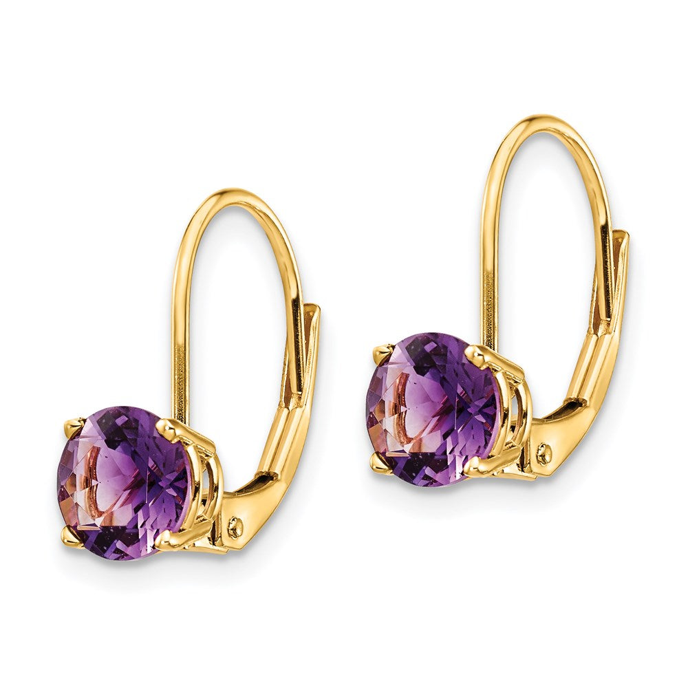 14k Yellow Gold 6mm Amethyst Leverback Earrings XLB112AM