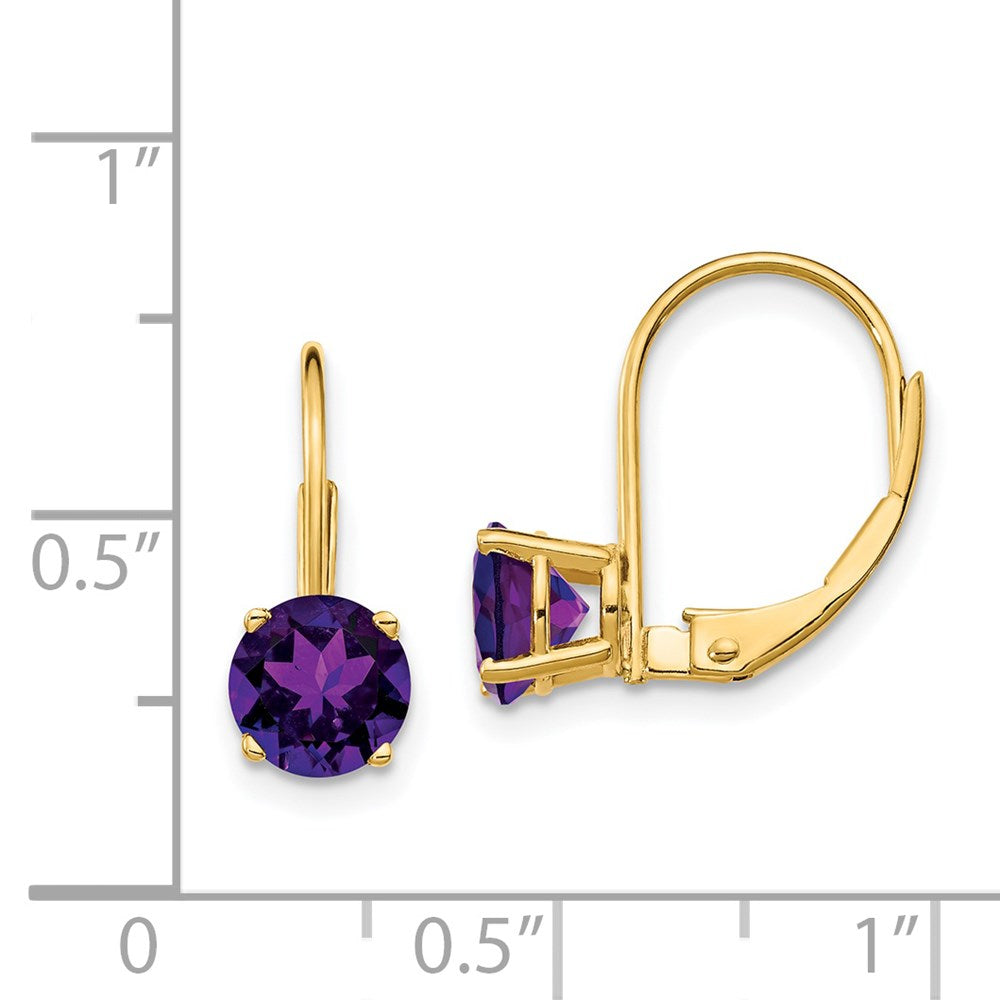 14k Yellow Gold 6mm Amethyst Leverback Earrings XLB112AM