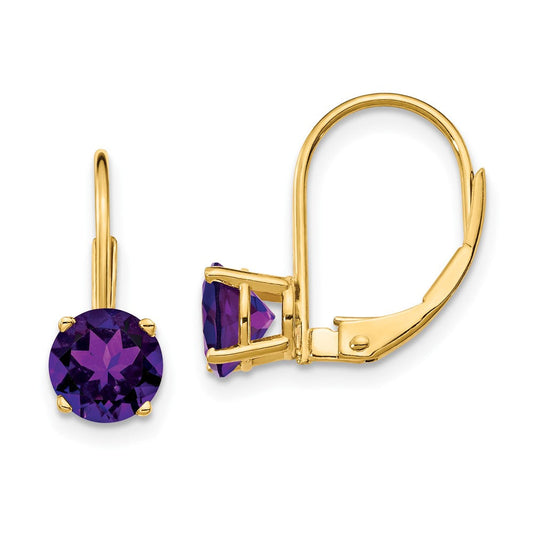 14k Yellow Gold 6mm Amethyst Leverback Earrings XLB112AM