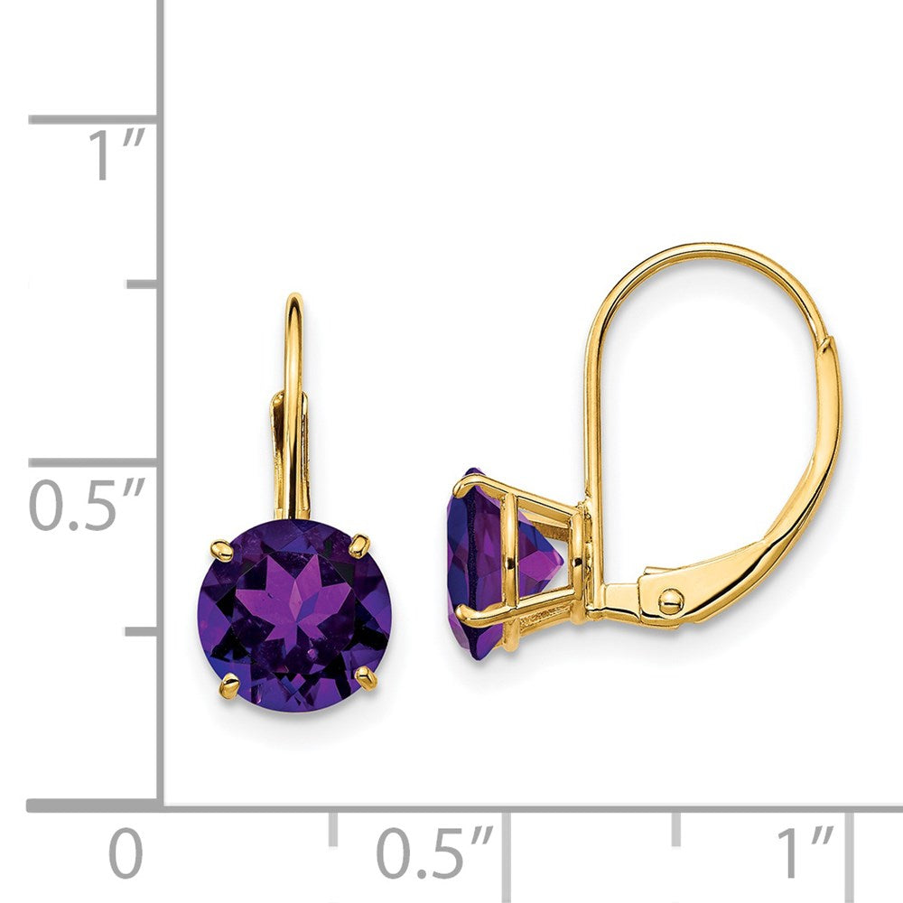 14k Yellow Gold 7mm Amethyst Leverback Earrings XLB113AM