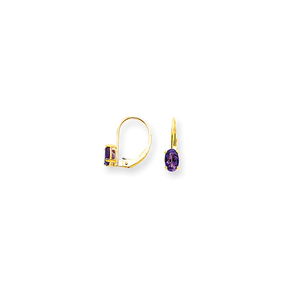 14k Yellow Gold 6x4mm Oval Amethyst Checker leverback Earrings XLB114AC