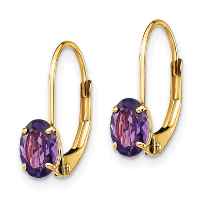 14k Yellow Gold 6x4mm Oval Amethyst Leverback Earrings XLB114AM