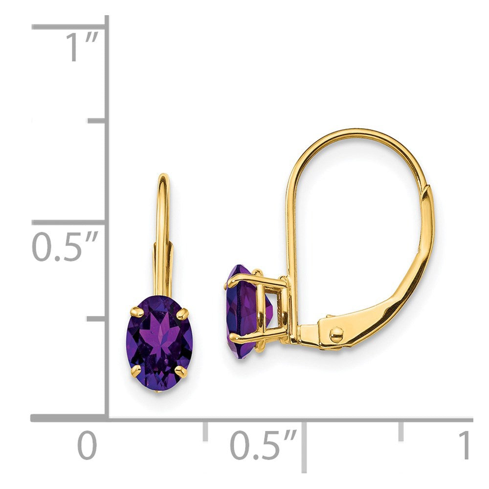 14k Yellow Gold 6x4mm Oval Amethyst Leverback Earrings XLB114AM