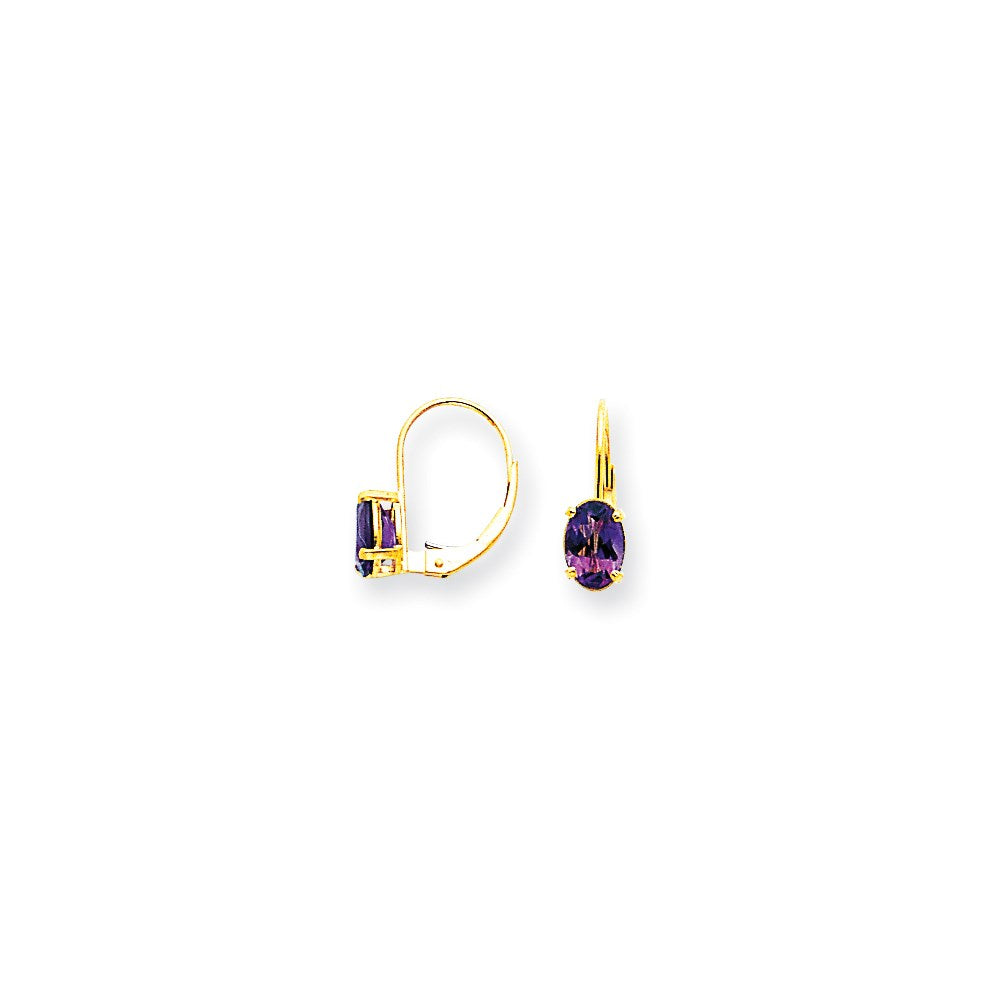 14k Yellow Gold 7x5mm Oval Amethyst Checker leverback Earrings XLB115AC