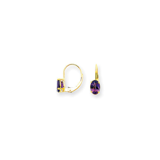 14k Yellow Gold 7x5mm Oval Amethyst Checker leverback Earrings XLB115AC