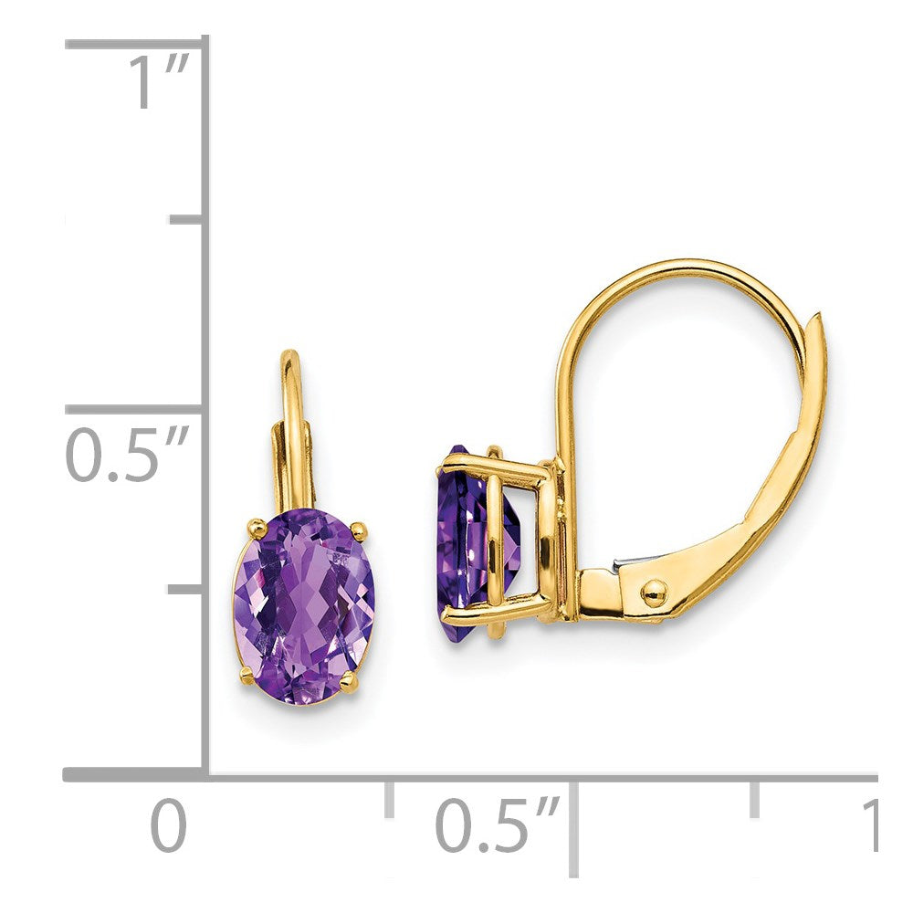 14k Yellow Gold 7x5mm Oval Amethyst Leverback Earrings XLB115AM