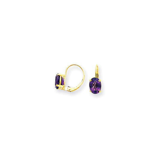 14k Yellow Gold 8x6mm Oval Amethyst Checker leverback Earrings XLB116AC