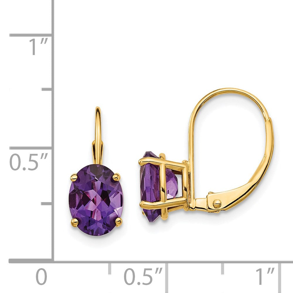 14k Yellow Gold 8x6mm Oval Amethyst Leverback Earrings XLB116AM
