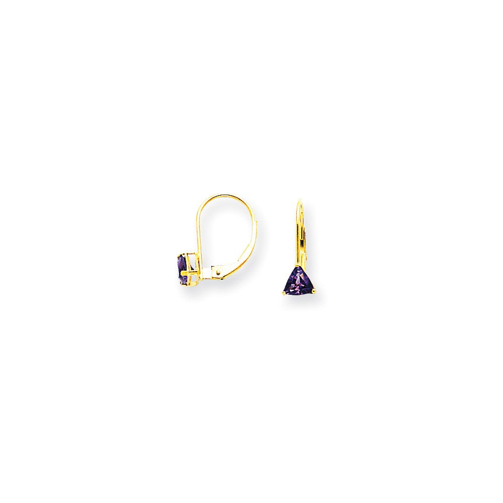 14k Yellow Gold 5mm Trillion Amethyst Leverback Earrings XLB117AM