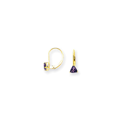 14k Yellow Gold 5mm Trillion Amethyst Leverback Earrings XLB117AM
