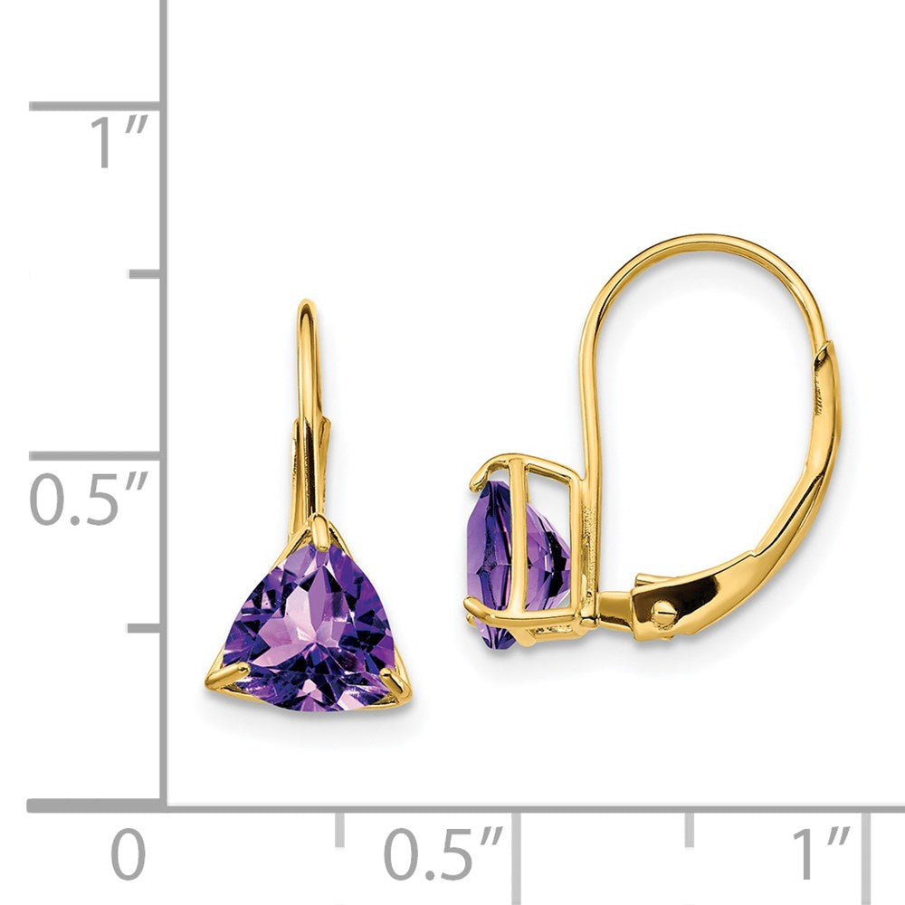 14k Yellow Gold 6mm Trillion Amethyst Leverback Earrings XLB118AM