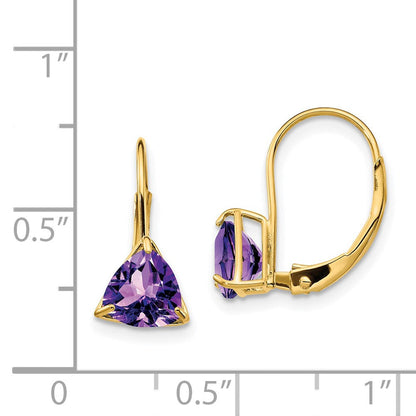 14k Yellow Gold 6mm Trillion Amethyst Leverback Earrings XLB118AM