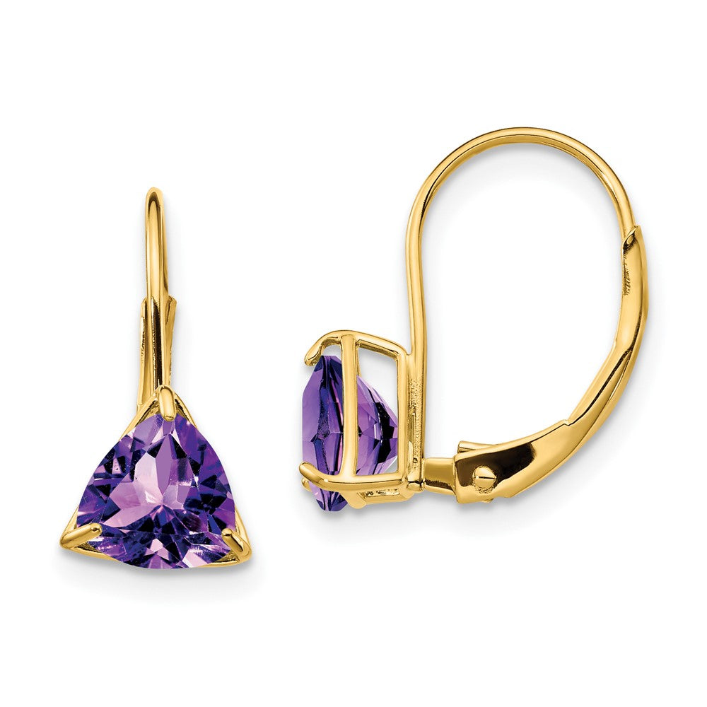14k Yellow Gold 6mm Trillion Amethyst Leverback Earrings XLB118AM