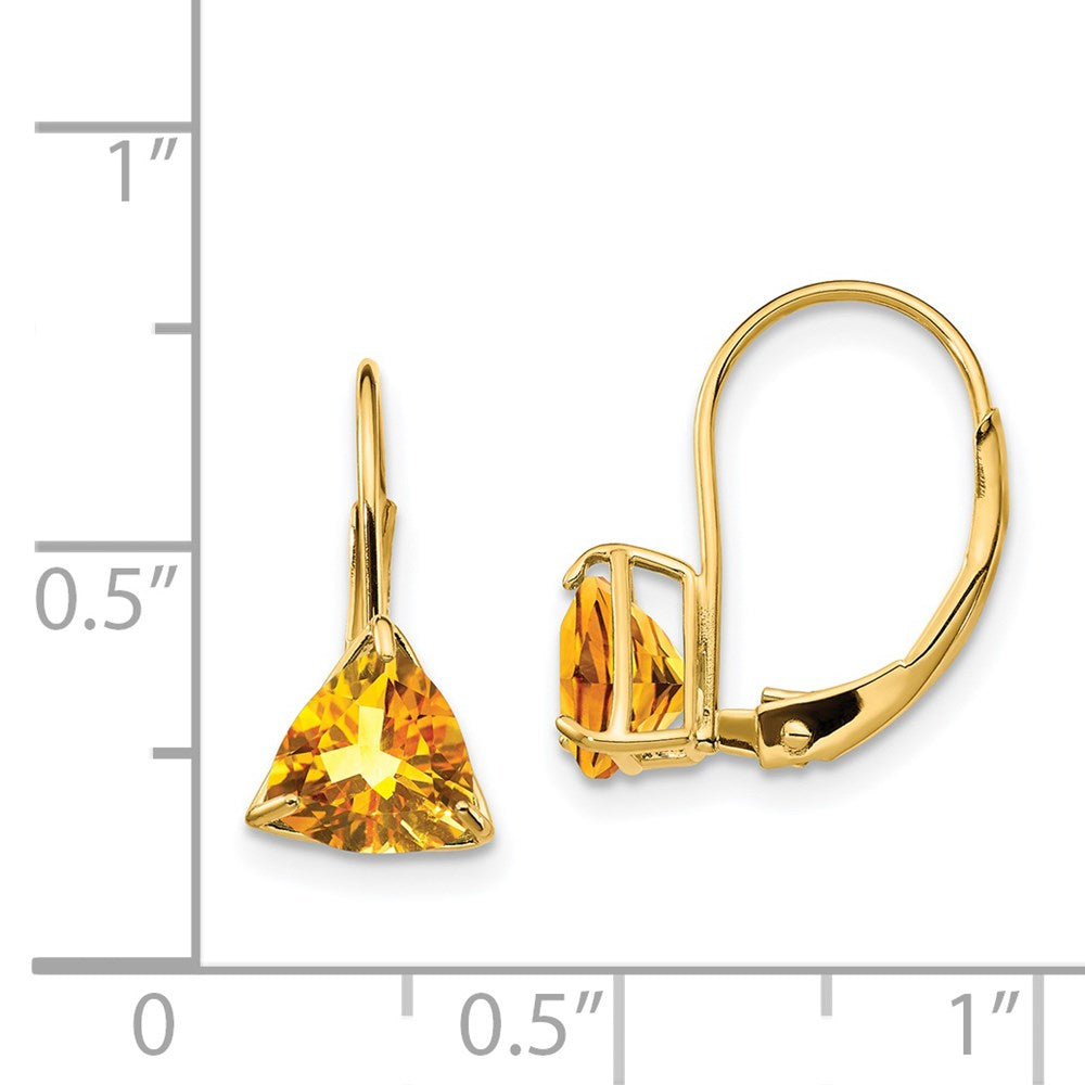 14k Yellow Gold 6mm Trillion Citrine Leverback Earrings XLB118CI