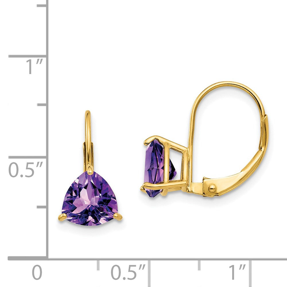 14k Yellow Gold 7mm Trillion Amethyst Leverback Earrings XLB119AM
