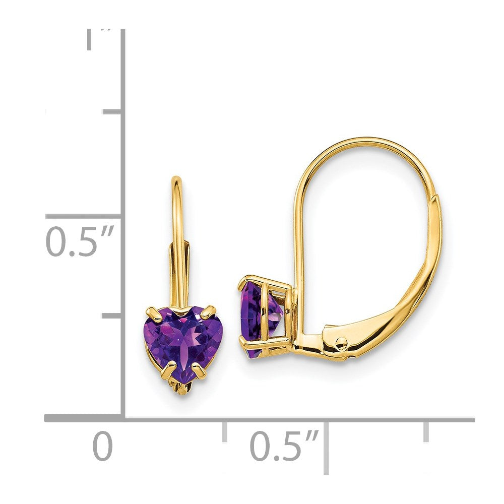 14k Yellow Gold 5mm Heart Amethyst Leverback Earrings XLB120AM