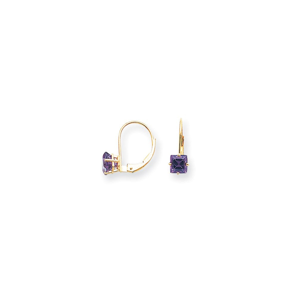 14k Yellow Gold 5mm Princess Cut Amethyst Leverback Earrings XLB121AM
