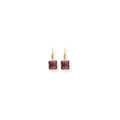 14k Yellow Gold 6mm Princess Cut Rhodolite Garnet Leverback Earrings