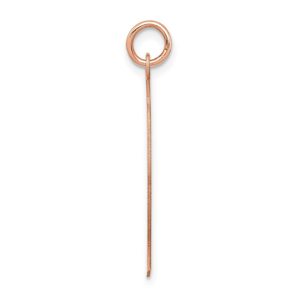14k Rose Gold Rose Plain Large.013 Gauge Facing Left Engraveable Boy Head Charm